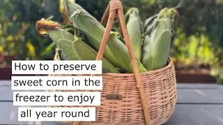 How to Preserve Sweet Corn in the Freezer to Use Year Round