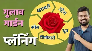 Rose Gardening Plan | How to Plan your Rose Garden
