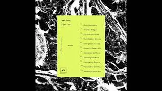 8 - Hugo Rolan - Tecnologia Futura [WU75d]