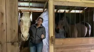 Virtual Halloween at Power Farms Equine Center