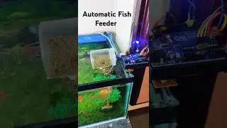 How to make Automatic Fish Feeder Machine #arduino #electronicproject #fishfeeder #fish
