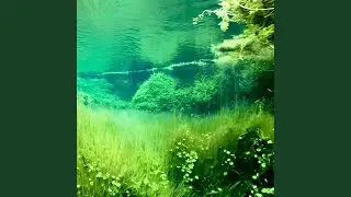 under a moss lake