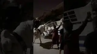 Big Loss in Qurbani 2025: Bull&rsquo;s Leg Broken During Offload in Karachi 🚚💔 #bakraeid #share #new