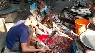 Fish cutting. Part-1. Fish cutting in the fish market.#fish_cutting #fish_cutting_expert#fish#uk#usa