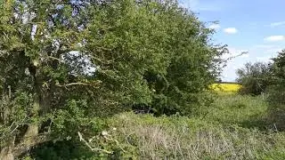 Walking along River Witham  pt2