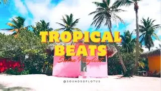 Tropical Beats Salsa 4K- Live Background- Embrace life's joy with the happy rhythms of salsa music.