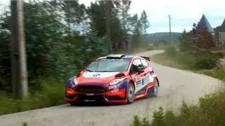 Rallye Vidreiro 2018 | Pedro Almeida | Nuno Almeida