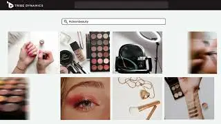 Introducing Influencer Search!