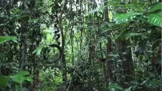A Beginning in Pemba