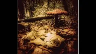 Alio Die - Standing in a place (Full Album)