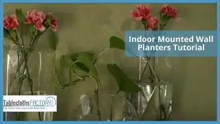 Indoor Mounted Wall Planters Tutorial | DIY Home D&eacute;cor | Tableclothsfactory.com
