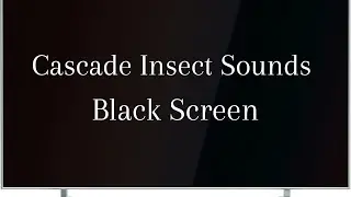 Cascade Insect Sounds Black Screen #music #relaxing #sleep