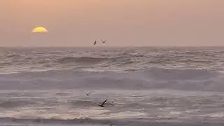 Last 1:30 minutes sunset off the Oregon coast  10-19-25 