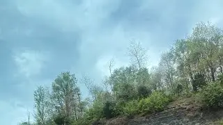 FOREST MURDER MOVIE😛😛😛