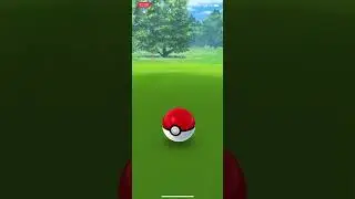 Hoppip Community Day 2022!