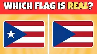 Can You Guess The Correct Flag? 🏳️🤔