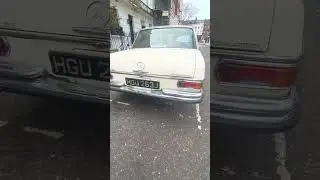 Mercedes 280se#photographycars #oldclassic #classic#coffee time#walking #london#automobile#Mercedes