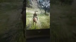 Jungle ride. #rdr2