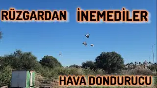 Soğuktan Donduk Ama Yılmadık Yavru Kuşları Sökmemiz Lazımm