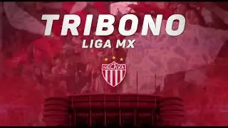 Tribono Necaxa