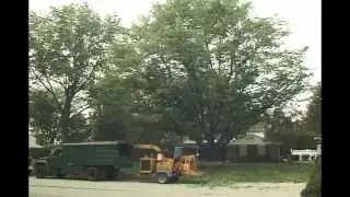 Tree Pruning Malvern PA.mov