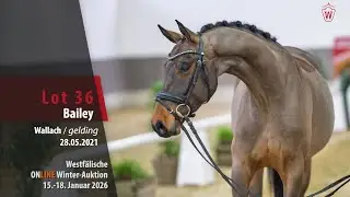 ONLINE Winter-Auktion 2026 Lot 36 Bailey Wallach v. Bonds - Rotspon