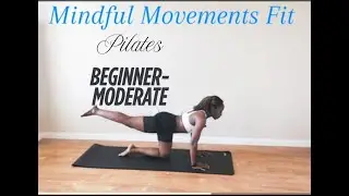 Beginner to Moderate Full Body 