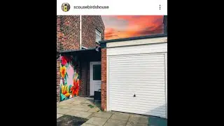 Floral Mural painted at Scousebird's House by Liverpool artist, Paul Curtis.