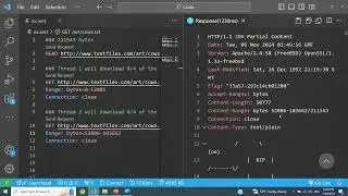 Project2  Download Accelerator over HTTP