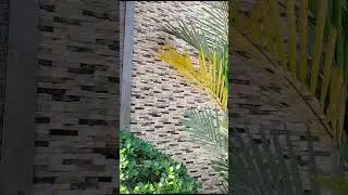 Indonesian Andesite and Limestone Wall Cladding