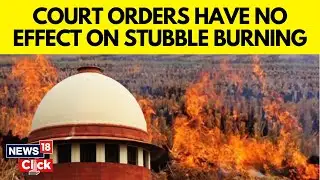 Stubble Burning Violates Fundamental Right To Pollution-Free Environment Under Article 21: SC | N18G