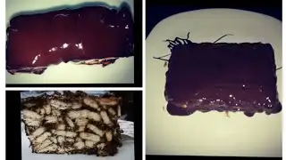 3 minutes chocolate biscoff bars/no bake cold cake with 3 ingredients only#shorts#youtubeshorts