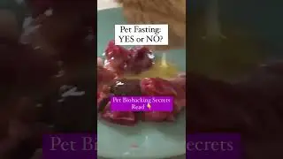 Pet fasting. Raw food diet. Pet nutrition. Pet coach. Holistic coach. Cats. Dogs.