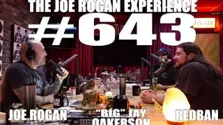 Joe Rogan Experience #643 - 