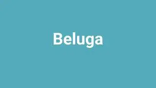 'Beluga' Meaning and Pronunciation