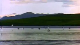 lago