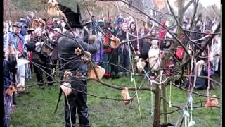 Chepstow Wassail & Mari Lwyd 2015
