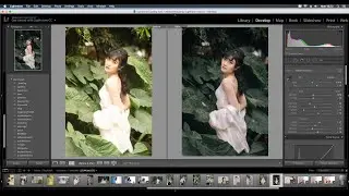 Preset Lightroom green dark