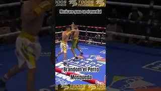 Mexicano gana en el mundial, Brandom Perro Mosqueda prospecto al t&iacute;tulo de los pluma en el torneo
