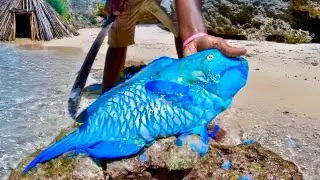 Island Survival Catch & Cook – Spearing Fish the Native Way (Parrot Fish)
