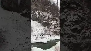 Right off the road #Alaska #Shorts #Explore