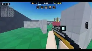 Playing [FPS] Flick