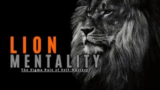 Live Like a Lion 🦁 | Sigma Male Motivation to Dominate Life in Silence