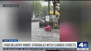 Food delivery robot struggles with flooded streets