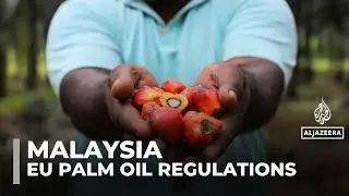 Malaysia urges EU to revise palm oil regulations, citing its sustainability efforts