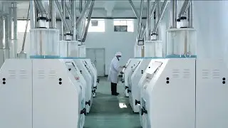 Complete set wheat flour milling production line