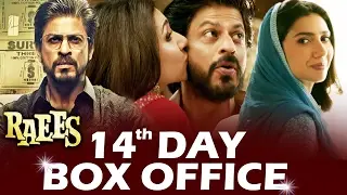 Shahrukh's RAAES - 14TH DAY BOX OFFICE COLLECTION - STEADY GROWTH