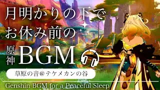 🎧️原神ASMR／睡眠用BGM🌙シロネンと草原の音。@テケメカンの谷｜リラックス・安眠・作業用