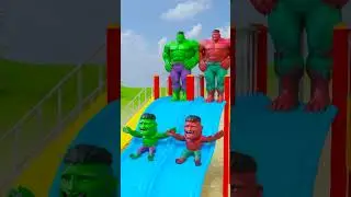 Family Rainbow Hulk - Loop Slide Tiger #short