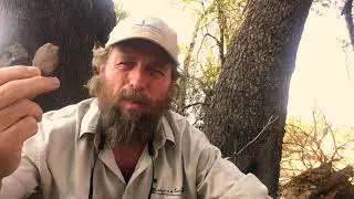 What we can learn from nature with Alan McSmith